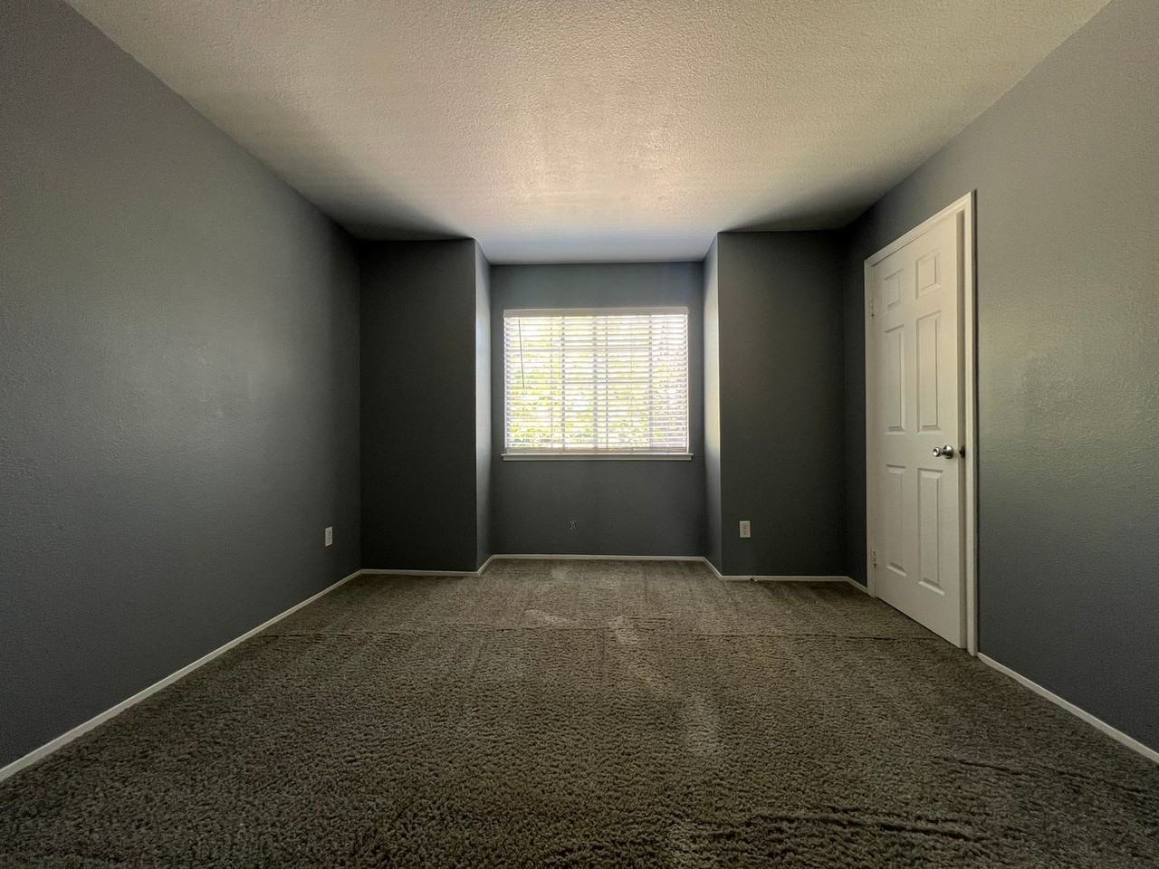 128 Ferrera Dr - Photo 3 of 16