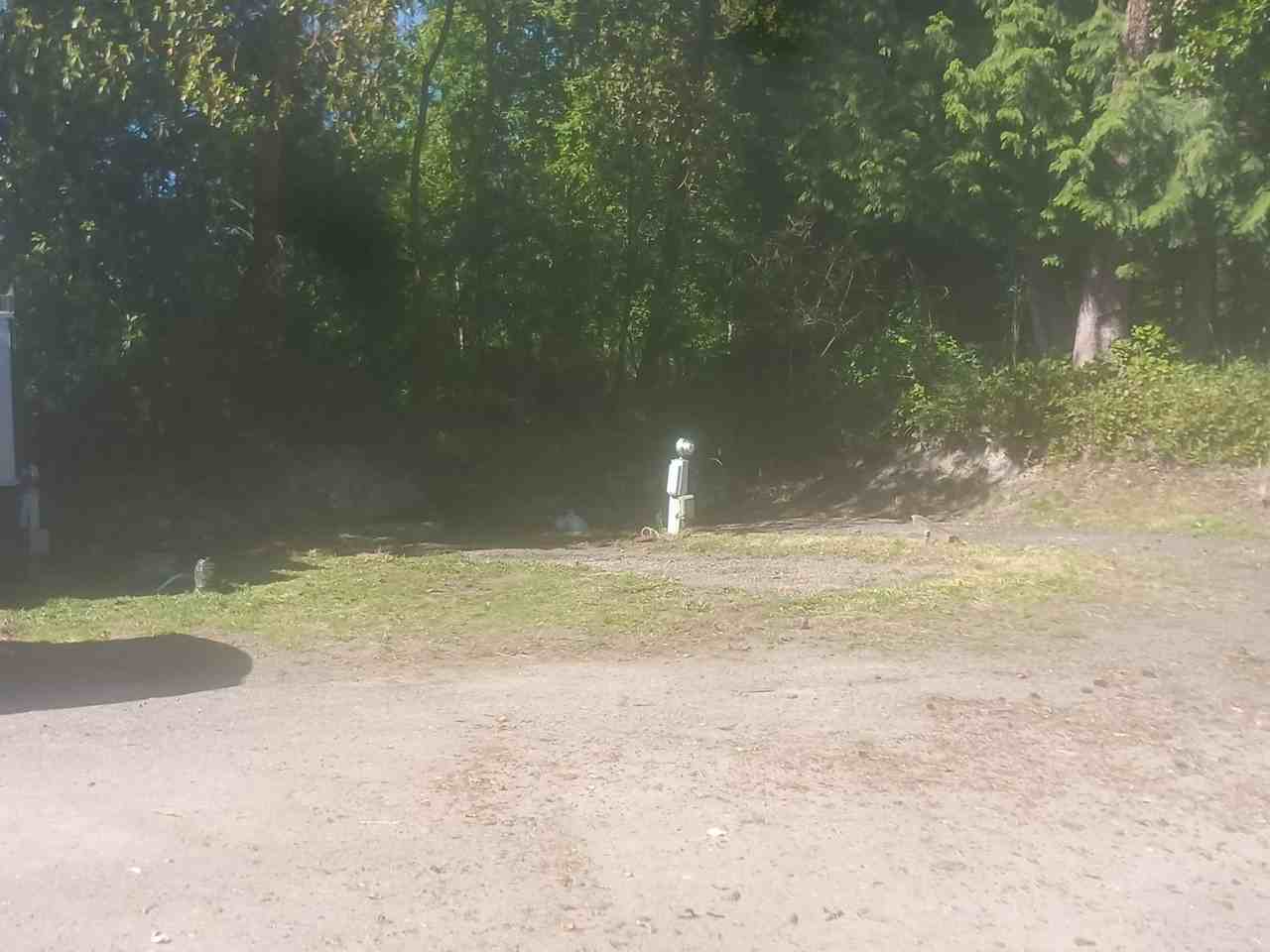 40 Sieberts Creek Rd - Photo 7 of 36