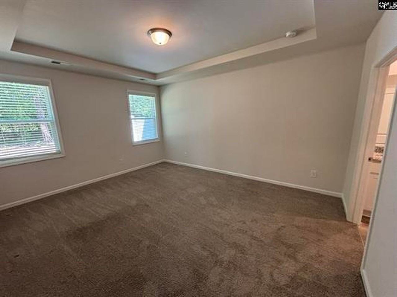 424 Lady Liberty Way - Photo 5 of 14