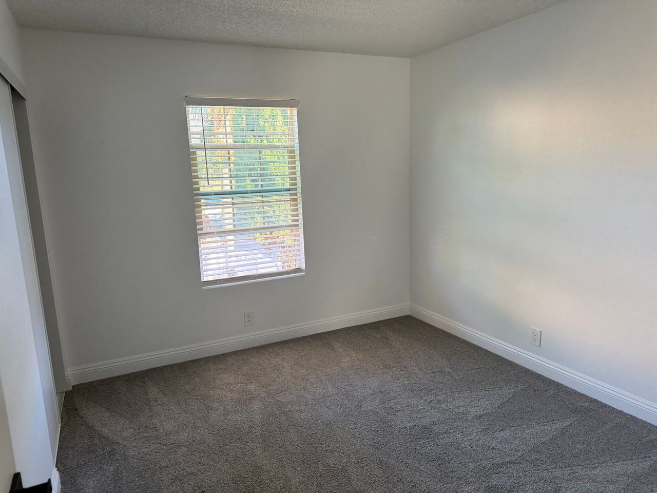 452 Estriga Ct - Photo 6 of 11