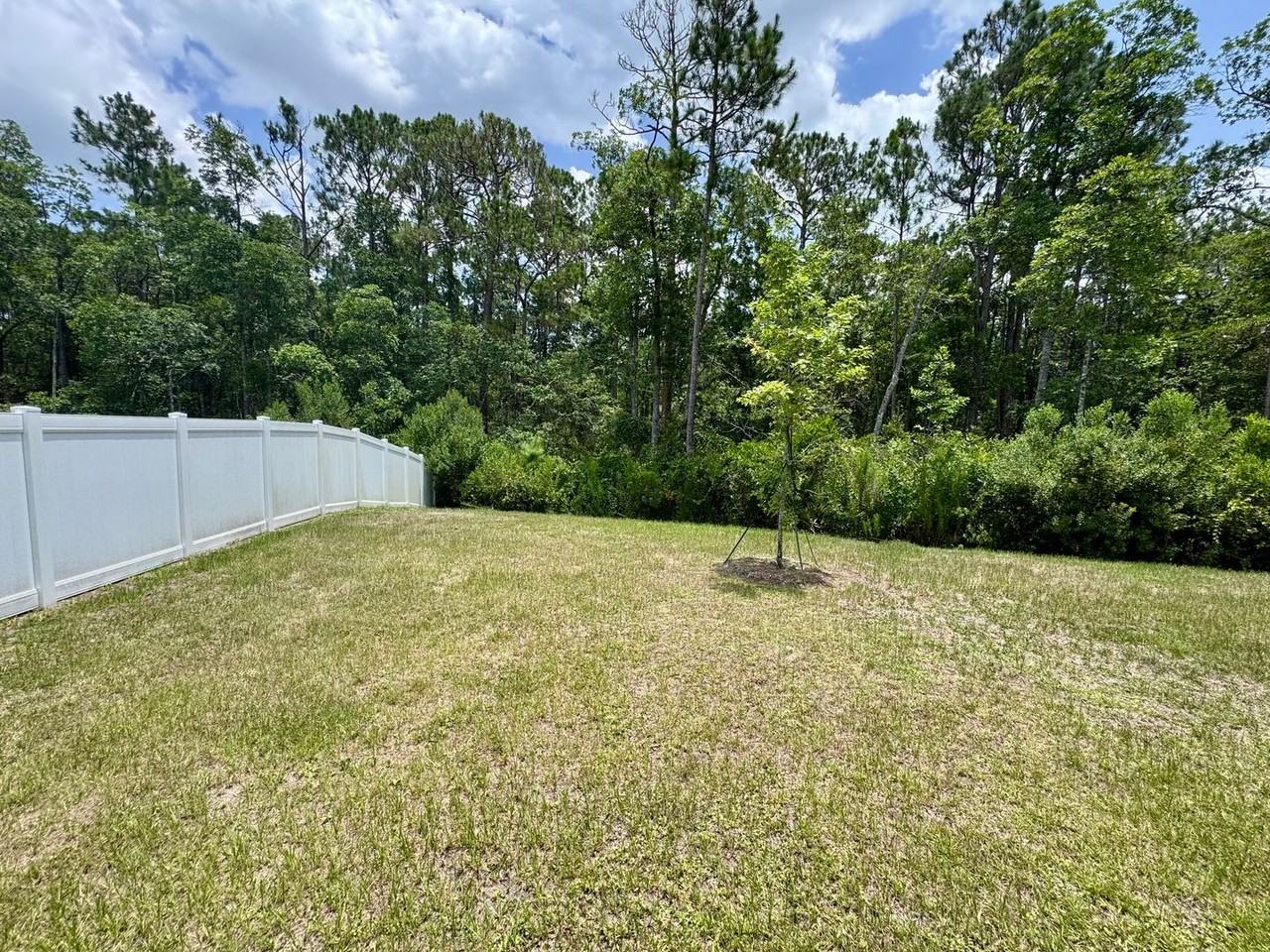 780 Morgans Treasure Rd - Photo 5 of 23
