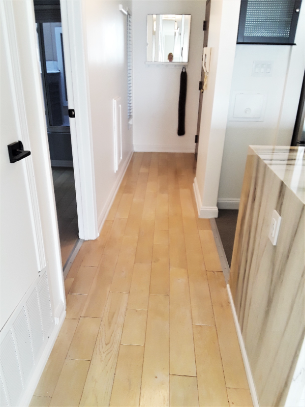 1580 Great Hwy #1 - Photo 5 of 19