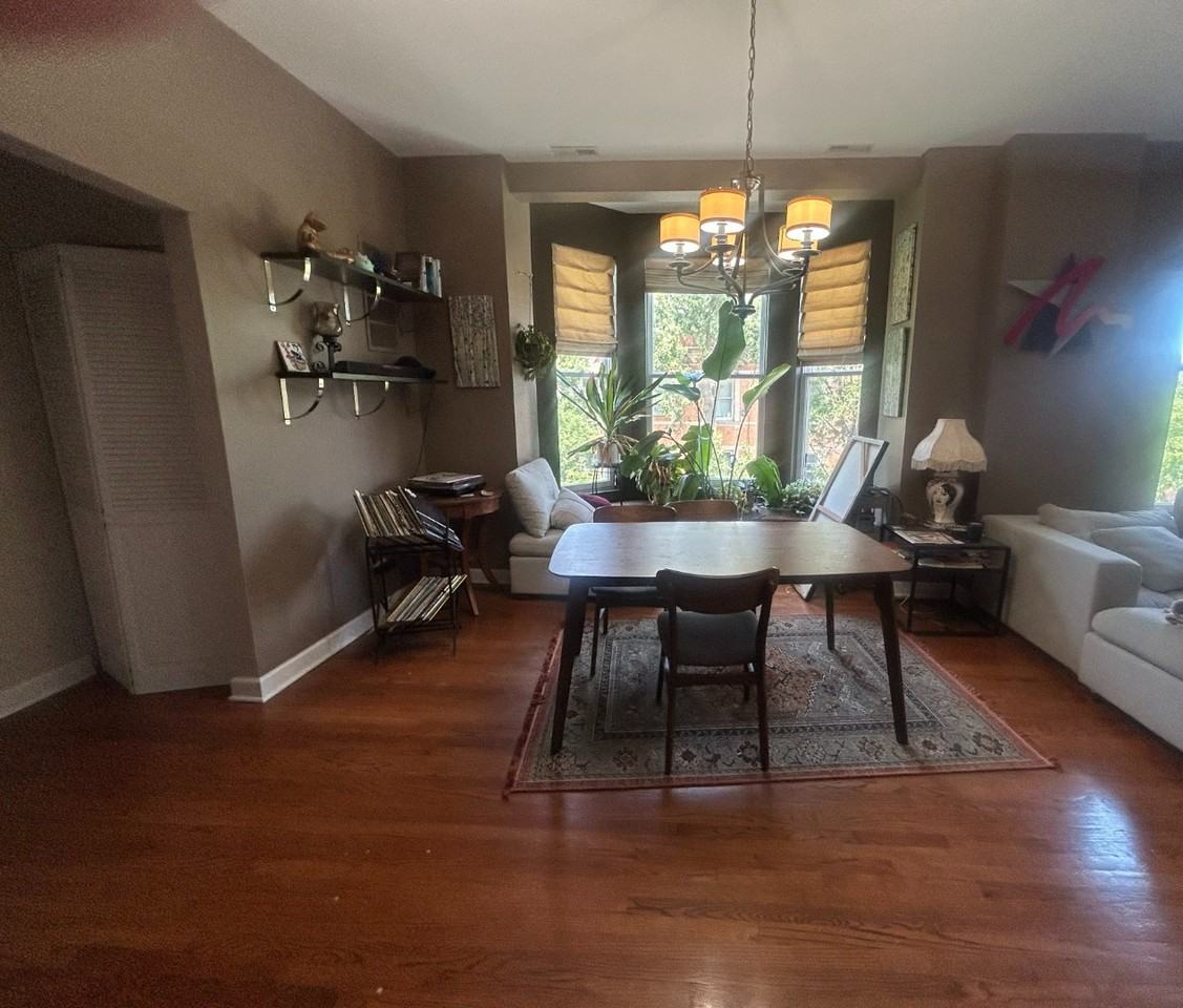 1058 N Damen Ave #3F - Photo 5 of 11