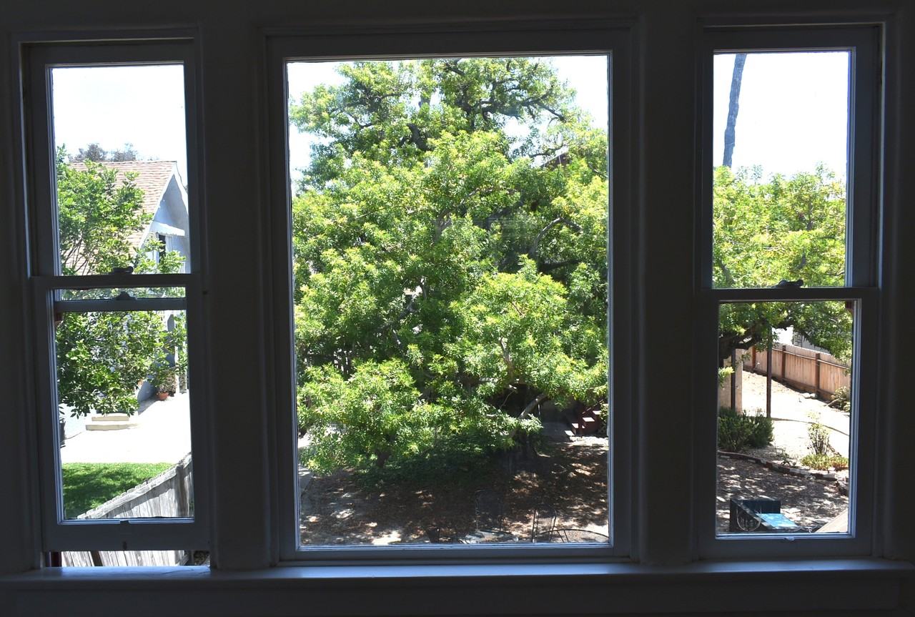 4438 Campus Ave #4444 - Photo 7 of 11