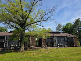 featured image of 314 Church St