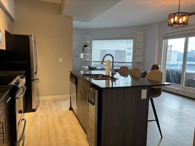 SF339 |  2 Bed 2 Bath Condo |  #607 10226 104 Ave NW - Photo 4 of 14