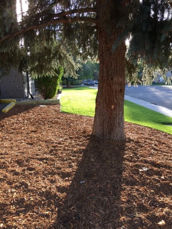 1829 Warren Ave - Photo 3 of 19