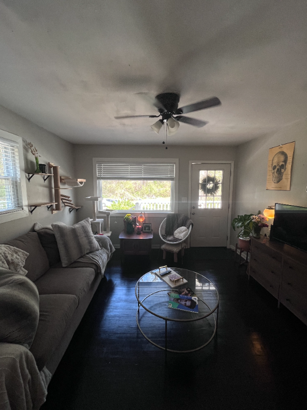 5522 Oleary St - Photo 4 of 16