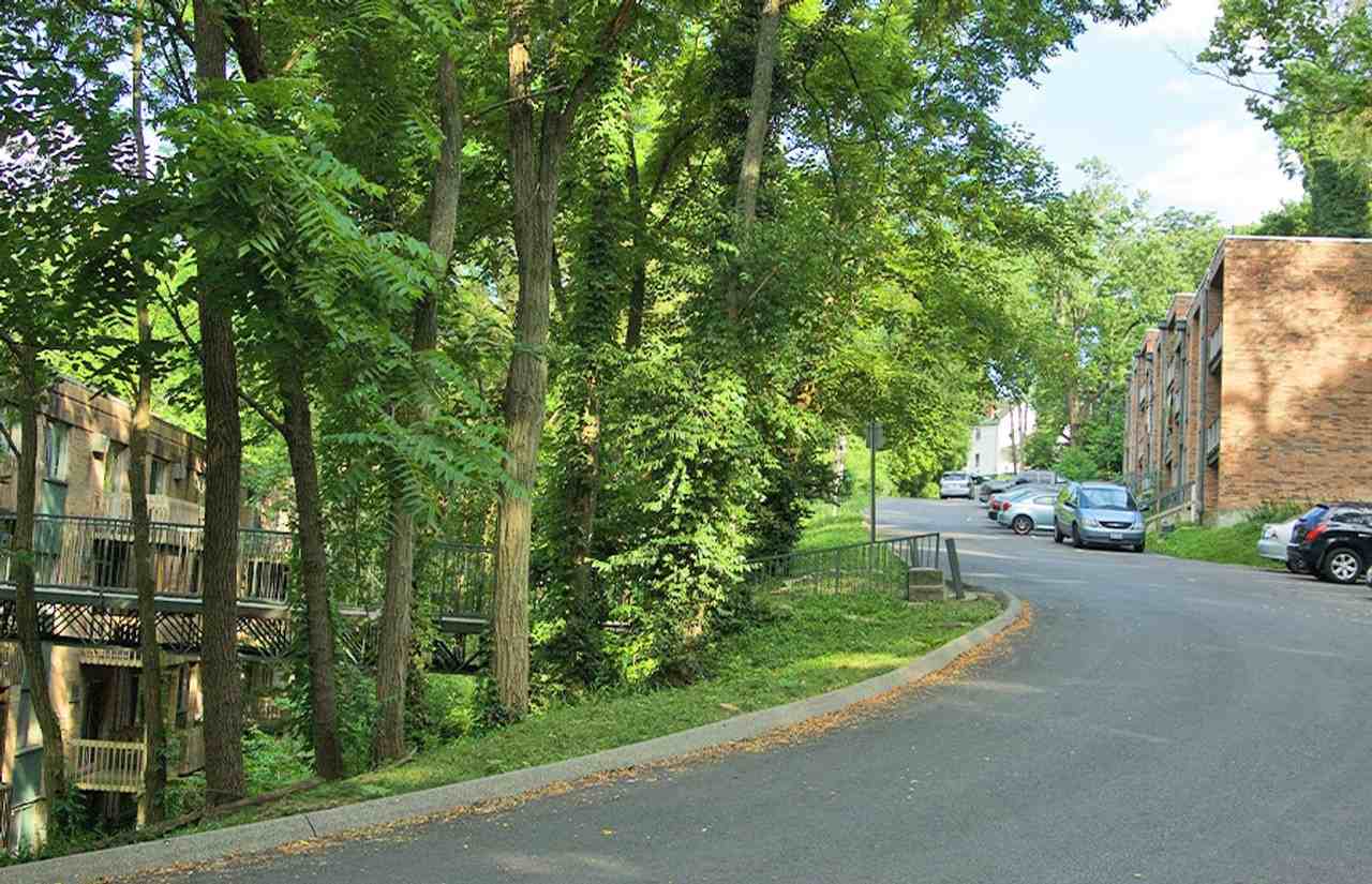Clifton Woods - Photo 4 of 22