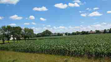 featured image of 15567 87th Ln Ne