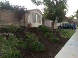 featured image of 556 Rocking Horse Dr