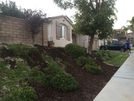 556 Rocking Horse Dr - Photo 1 of 1