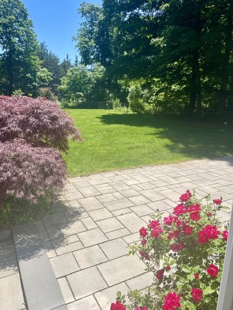 14 Lantern Hill Ln - Photo 5 of 5