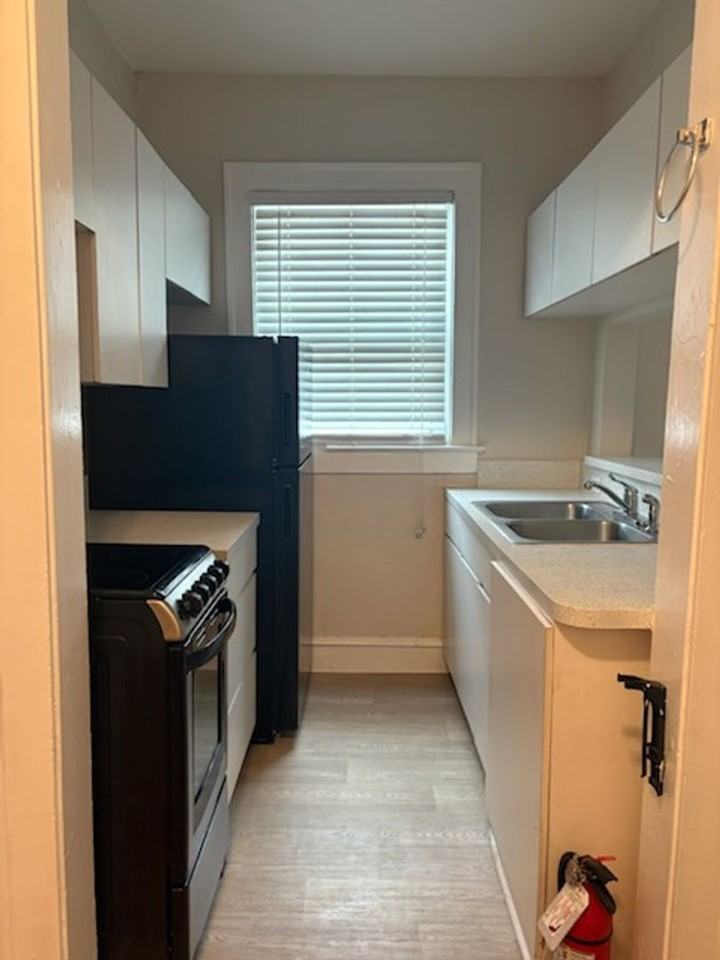 Charming Renovated 1BR/1BA located Steps Away from Bayshore Blvd. - Photo 7 of 14