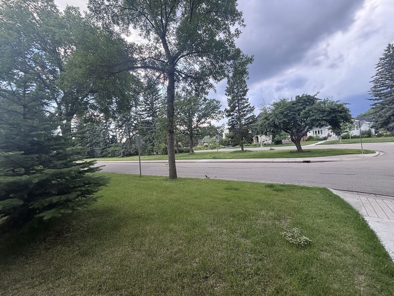 11651 77 Ave Nw - Photo 5 of 21
