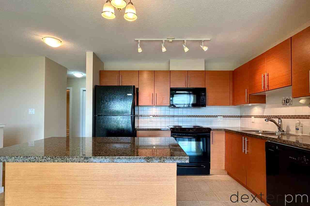 5611 Goring Street #603 - Photo 2 of 23
