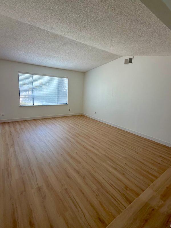 4983 Filament St - Photo 6 of 19