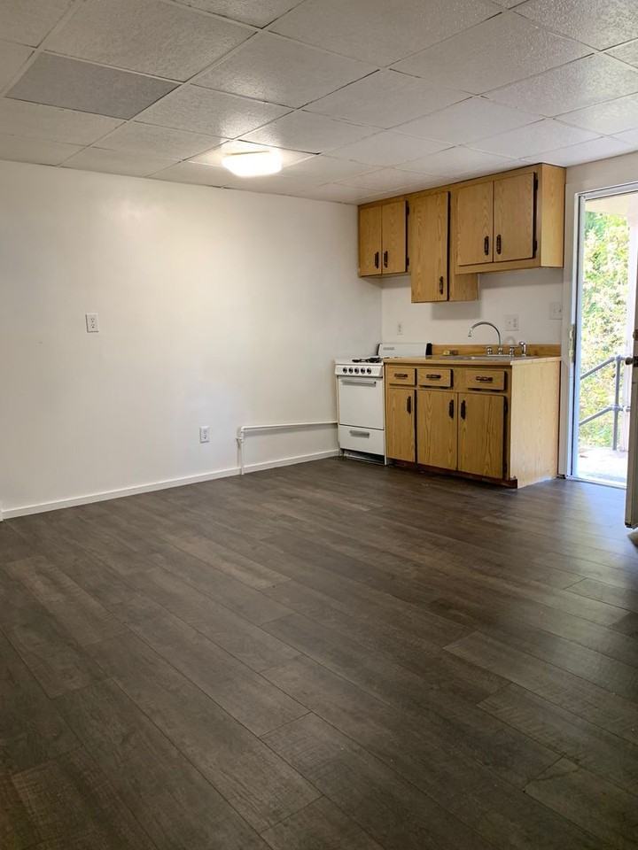 303 Vincennes Ave - Photo 4 of 6