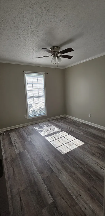 24 Richfield Cv #NA - Photo 5 of 23