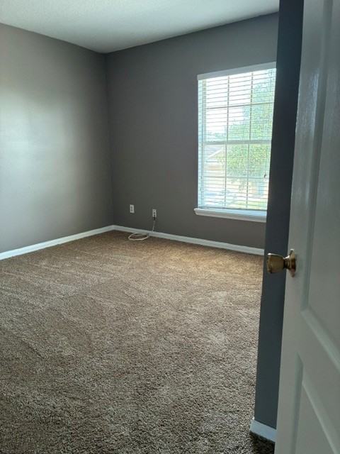 2164 Continental St #1 - Photo 6 of 8