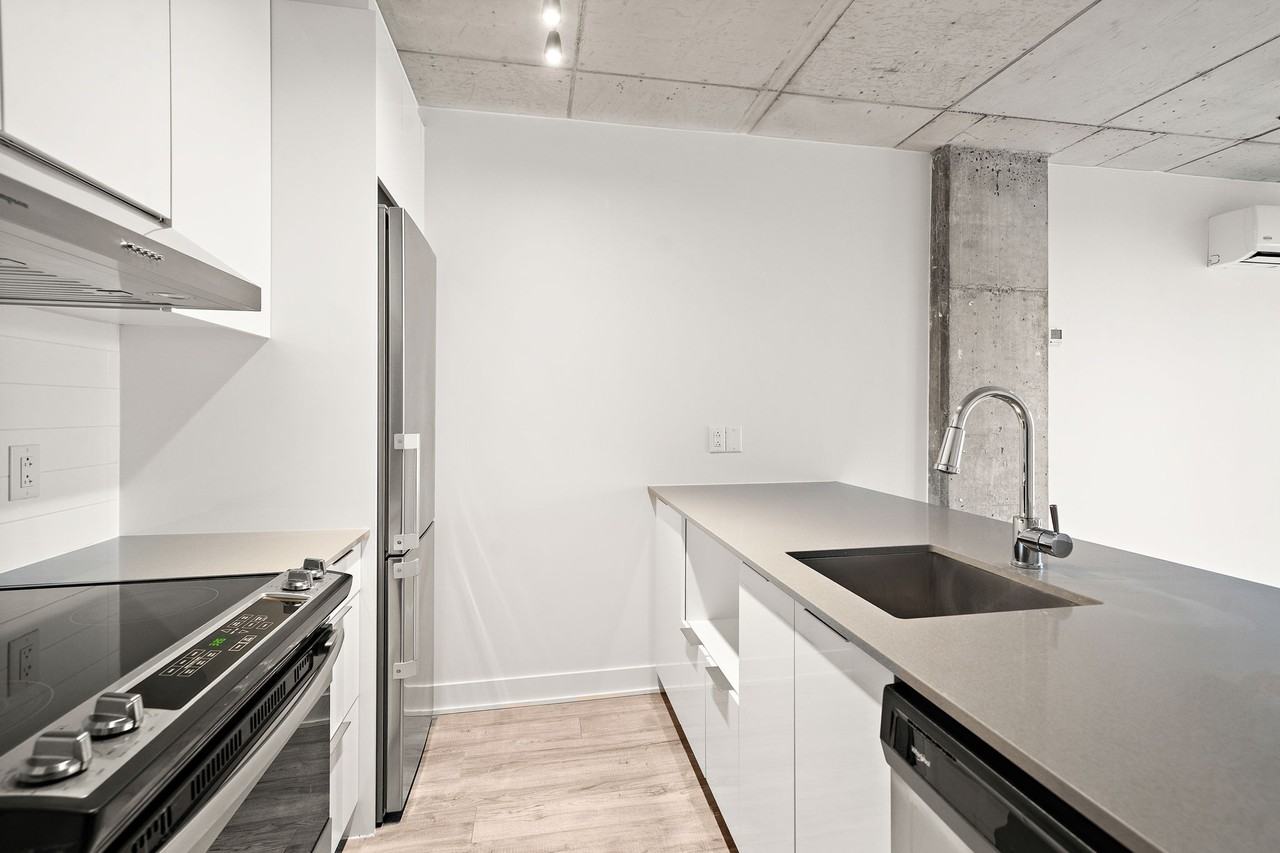 1255 Rue Saint-Dominique - Photo 3