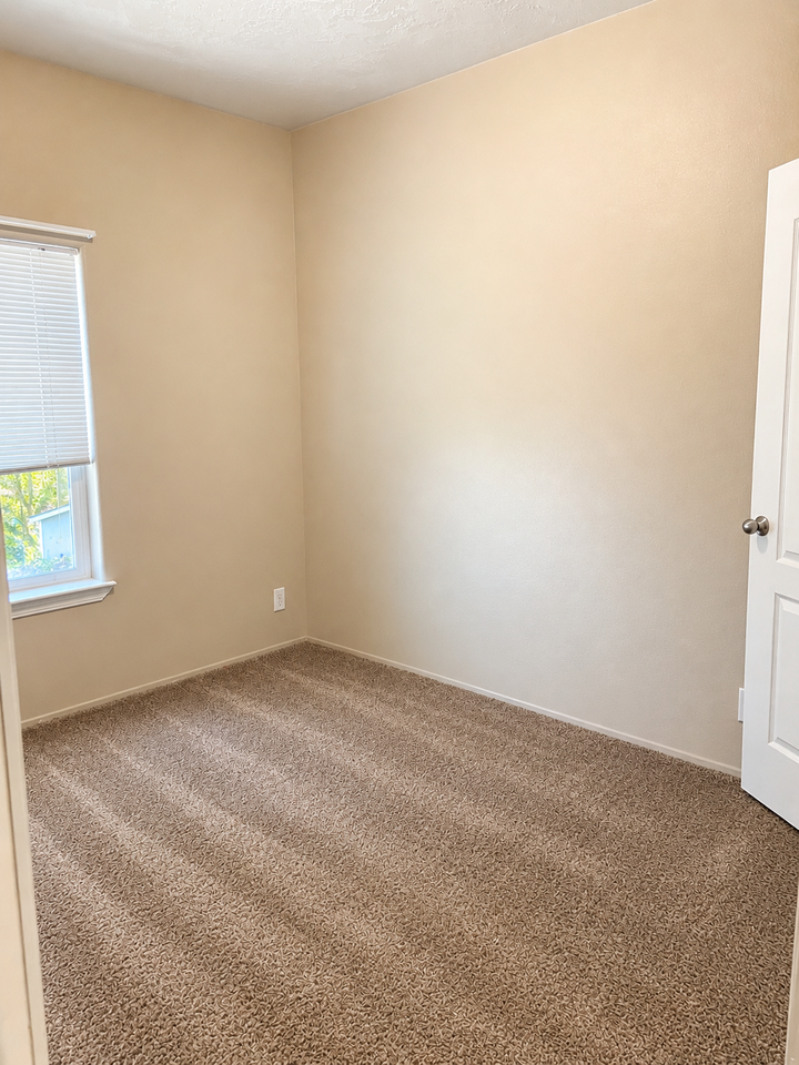 4137 54th Ave Ne #1 - Photo 5 of 12