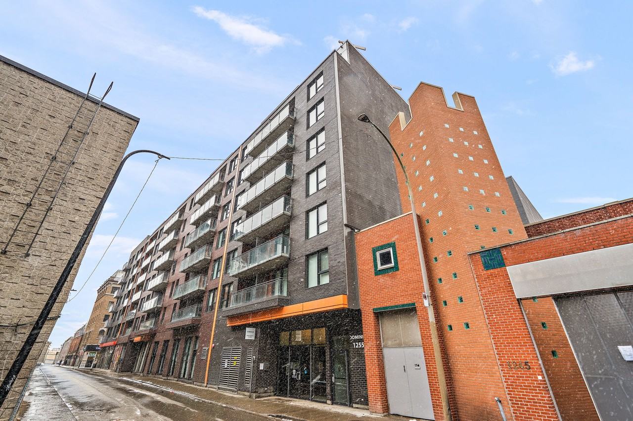 1255 Rue Saint-Dominique - Photo 4