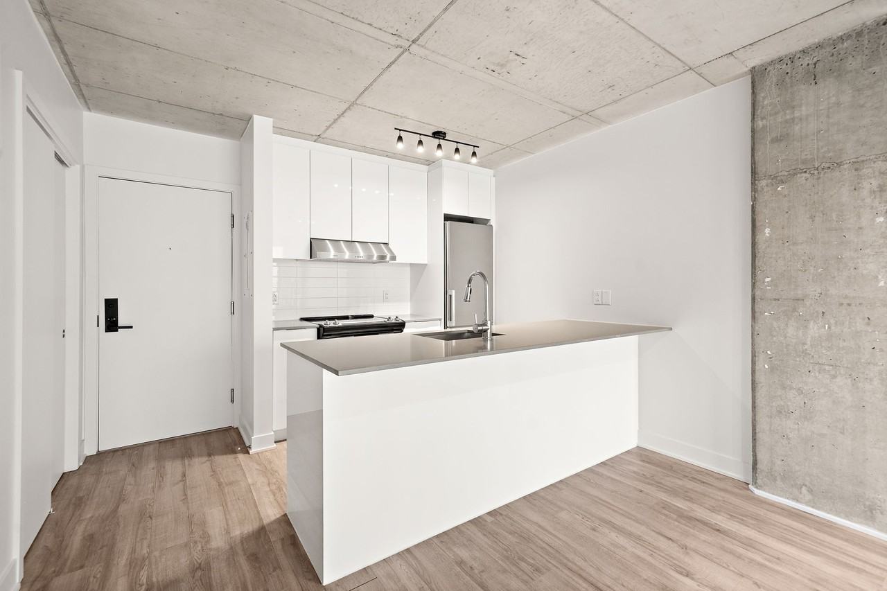 1255 Rue Saint-Dominique - Photo 11