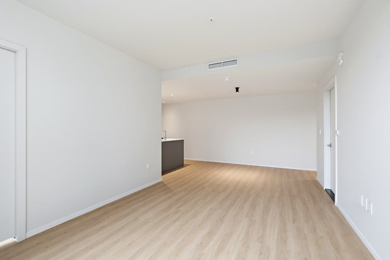 530 Rue Saint-Hubert - Photo 5