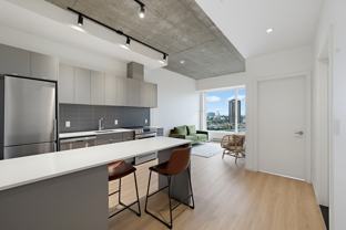 530 Rue Saint-Hubert #1209 - Photo 1 of 1