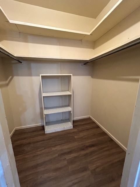 1505 Bradley St #C - Photo 7 of 10
