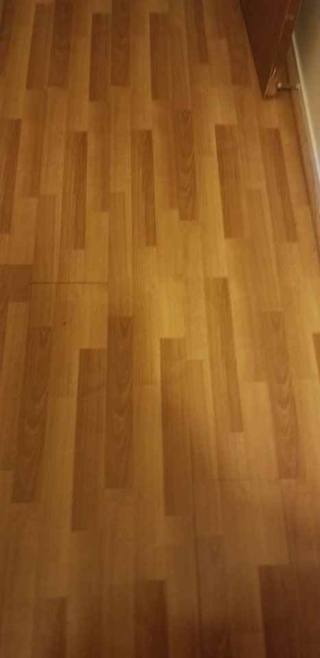 2210 Calaveras Ave - Photo 3 of 7