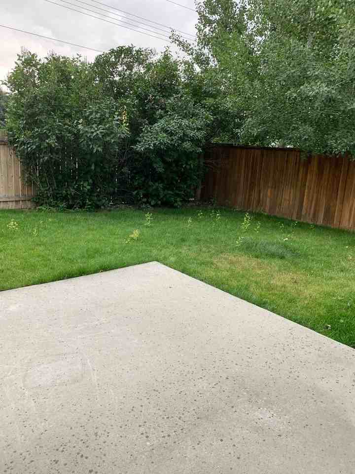2729 Allison Ct - Photo 6 of 38