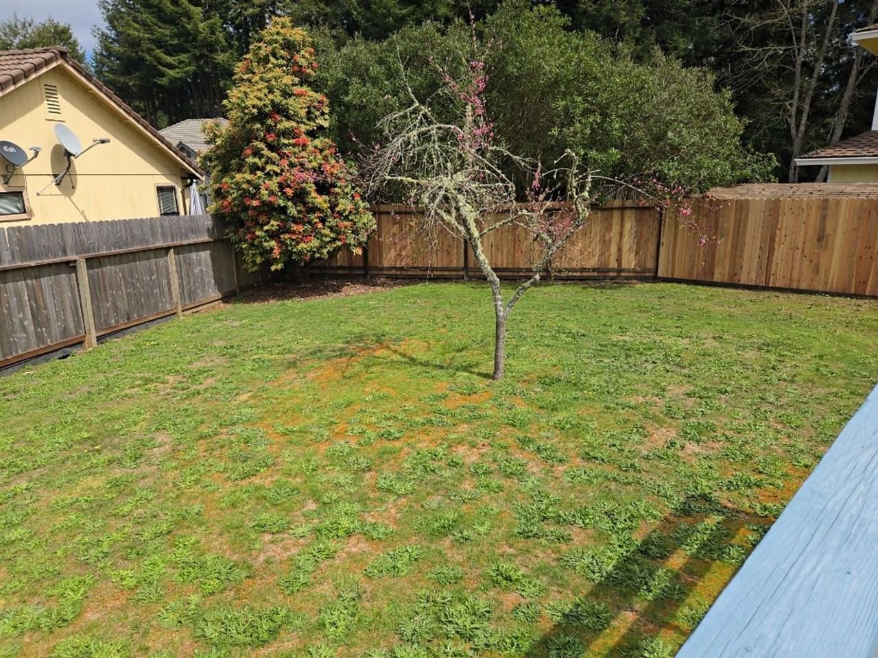 2149 Woodcrest Ct - Photo 5 of 50