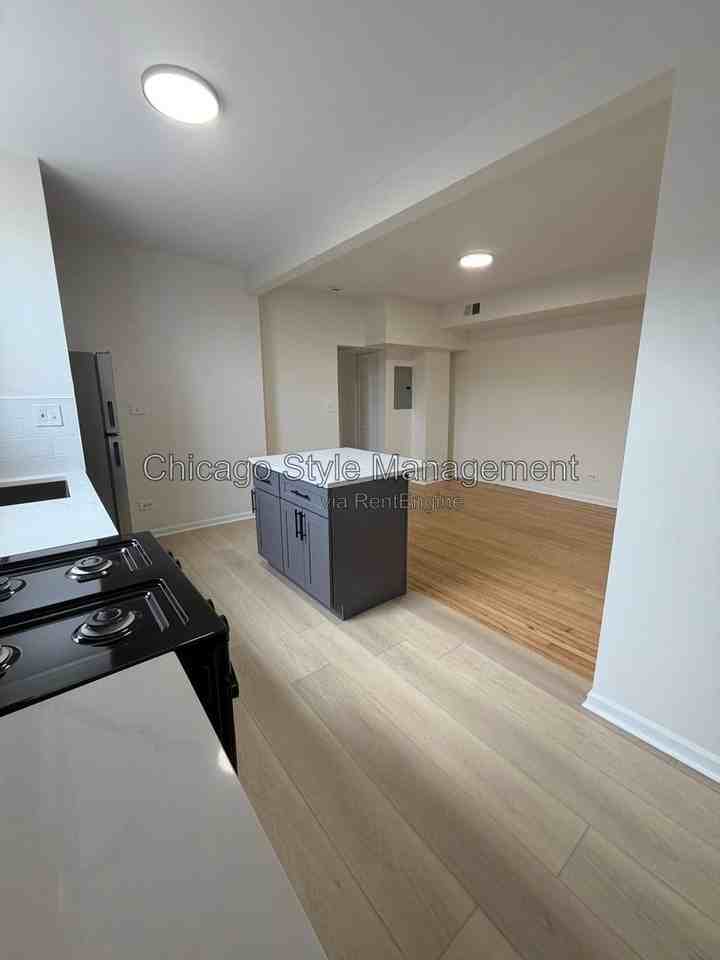 7833 S Colfax Ave #3S - Photo 3 of 18