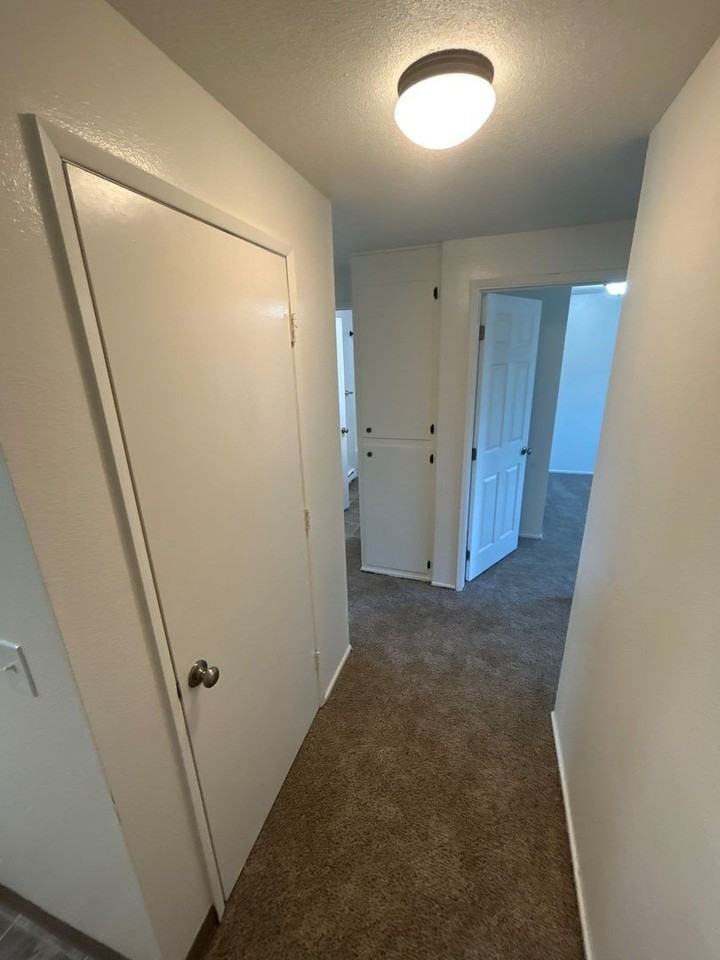 3813 Iberis St Ne - Photo 3 of 15
