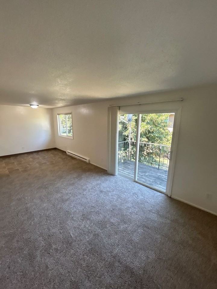 3813 Iberis St Ne - Photo 7 of 15