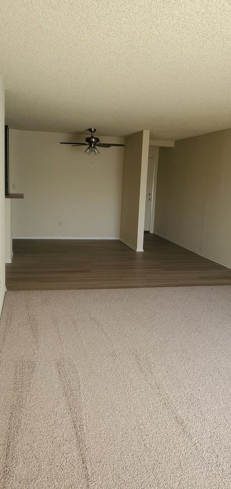 CASA COLIMA APARTMENTS - Photo 7 of 50