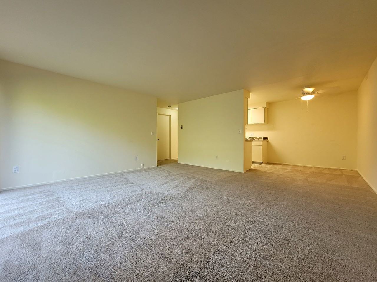 11206 Ne 68th St #228 - Photo 5 of 16