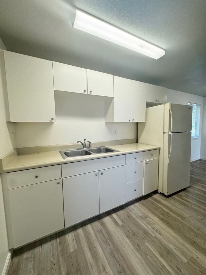 Sekhon Property - Photo 5 of 14