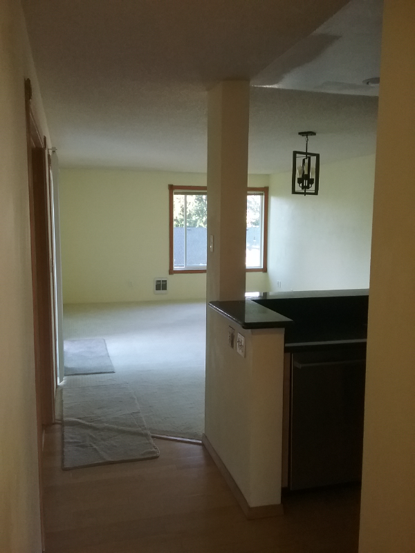 17431 Ambaum Blvd S - Photo 7 of 50