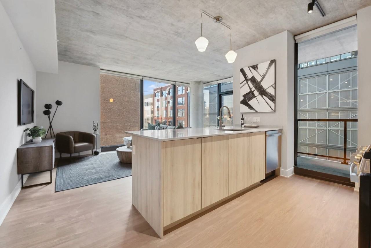 1042 W Van Buren St - Photo 2 of 12