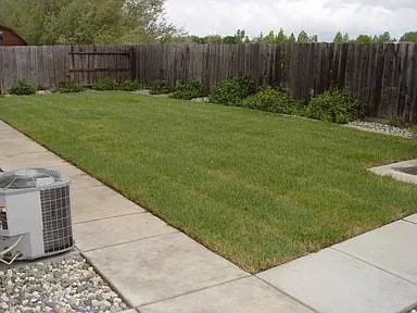 313 Royal River Drive - Photo 4 of 4
