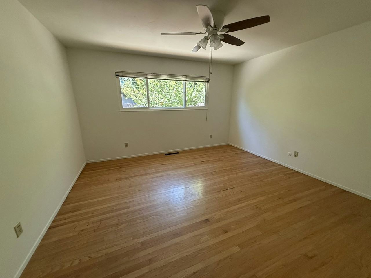 2313 Clemson Drive - Photo 5 of 19