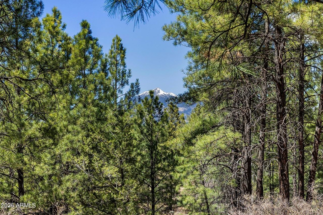 114 E Paseo Del Rio #B - Photo 5 of 25