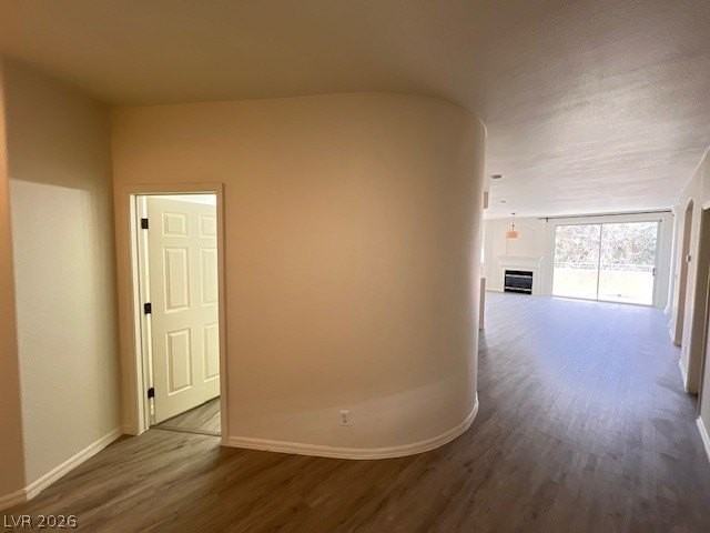 801 Dana Hills Ct #203 - Photo 3 of 18