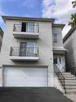 featured image of 19 Halleck St