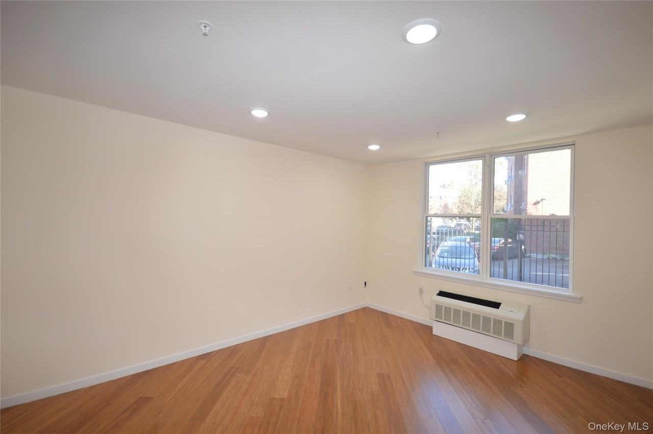 55 S Middle Neck Rd #4C - Photo 4 of 11