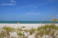 56 Gulf Shore Blvd S - Photo 1 of 1