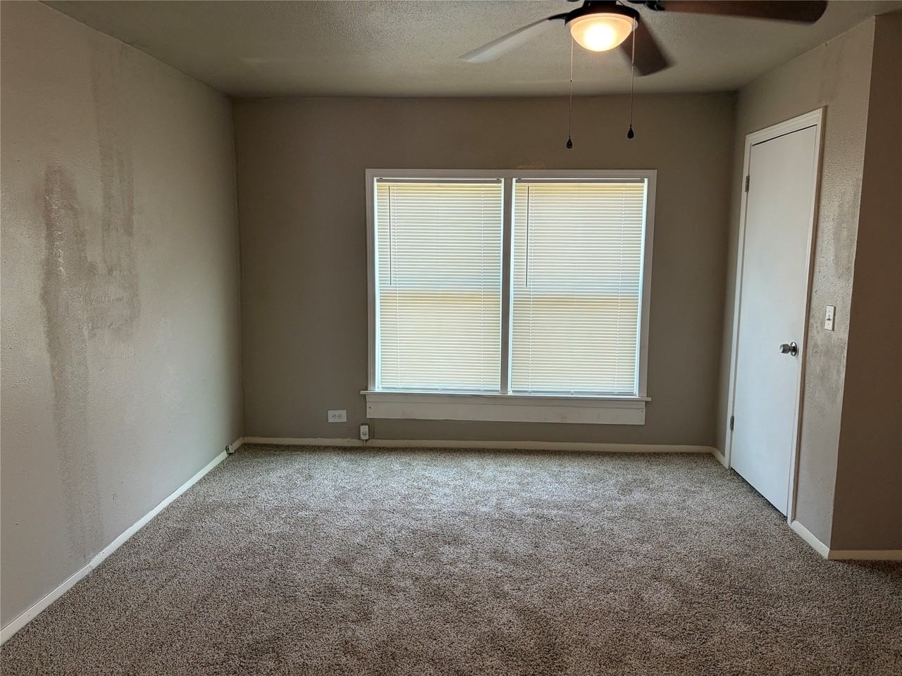 1341 S 16th St - Photo 6 of 16